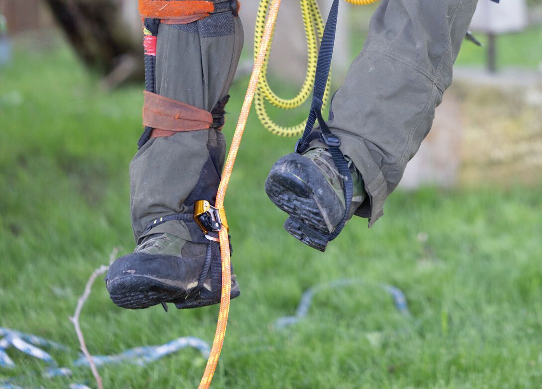 PETZL Pantin boka kantyú nyelvkiakasztó karral jobbos